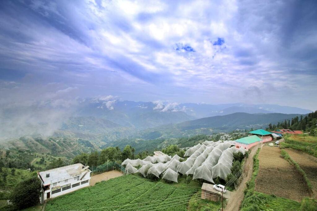 Fagu, Himachal Pradesh