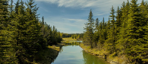 Red-Deer-Camping-Feature