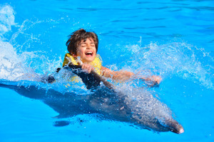 swimming-with-dolphins