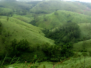 Vagamon