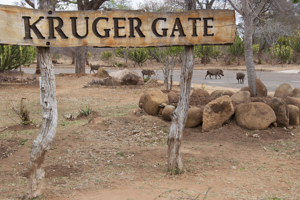 kruger national park case study