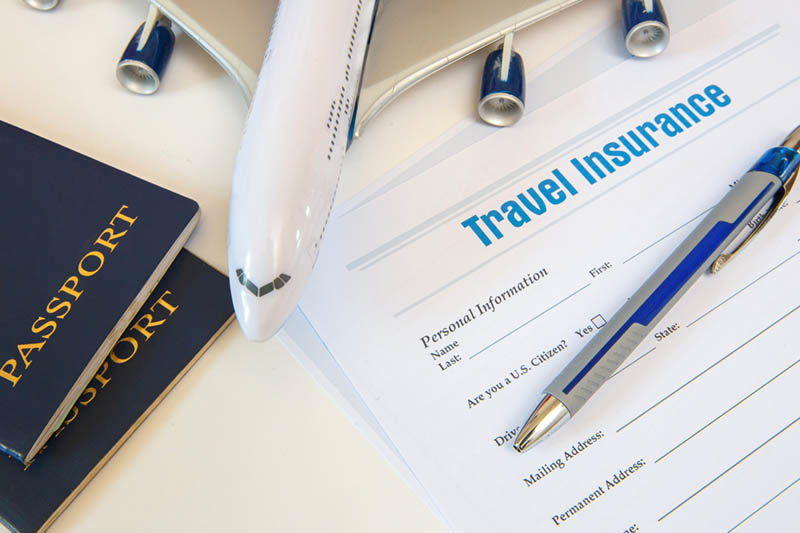 Travel insurance agent showing benefits website Vector Image