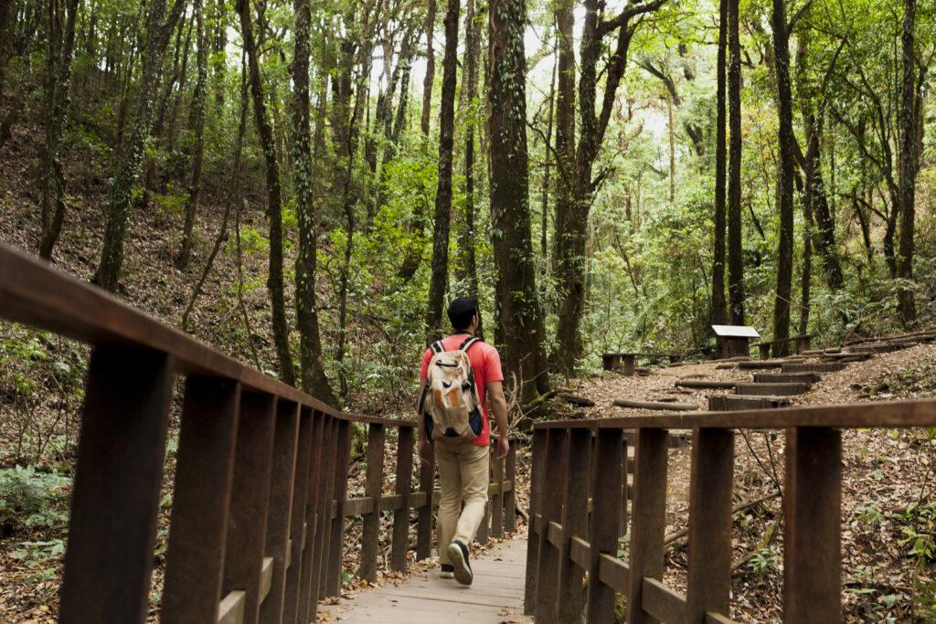 hidden tourist places in tamilnadu