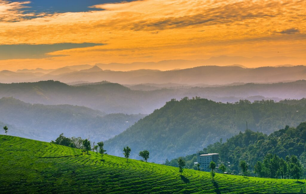 Munnar places