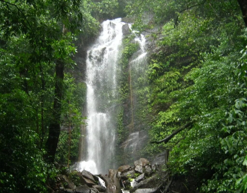 Kodachadri waterfall